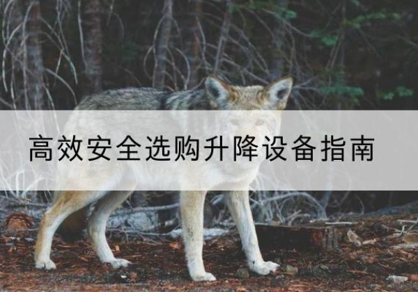 房山区升降货梯厂家推荐-*安全选购升降设备指南