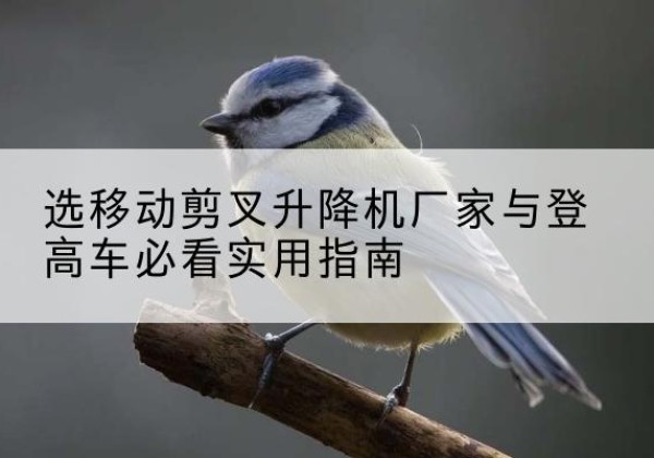 房山区电动升降机厂家-选移动剪叉升降机厂家与登高车必看实用指南